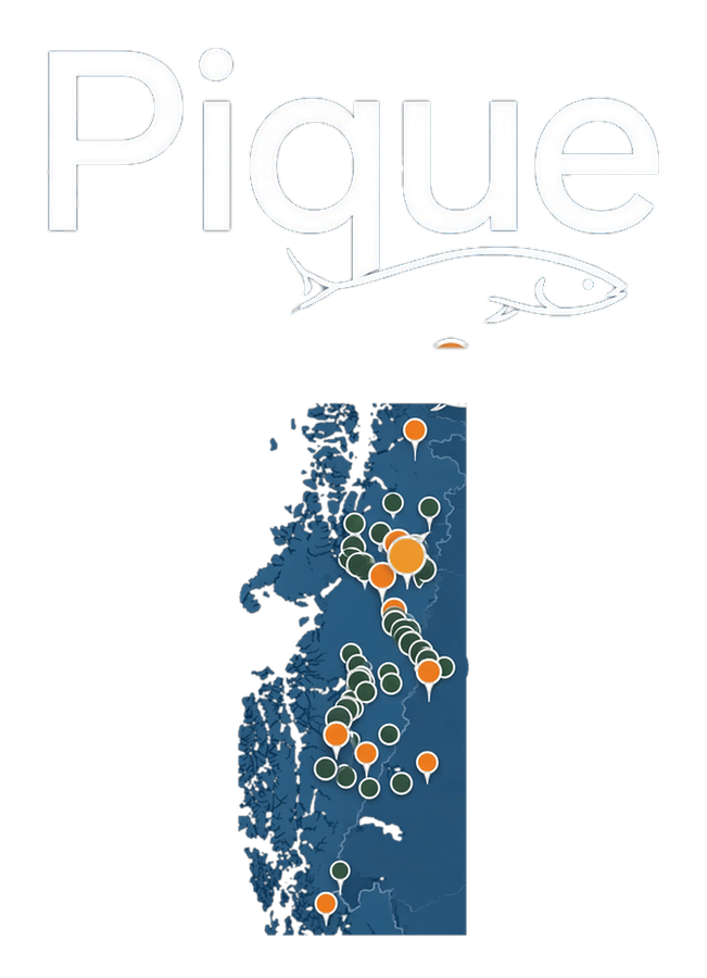 Pique